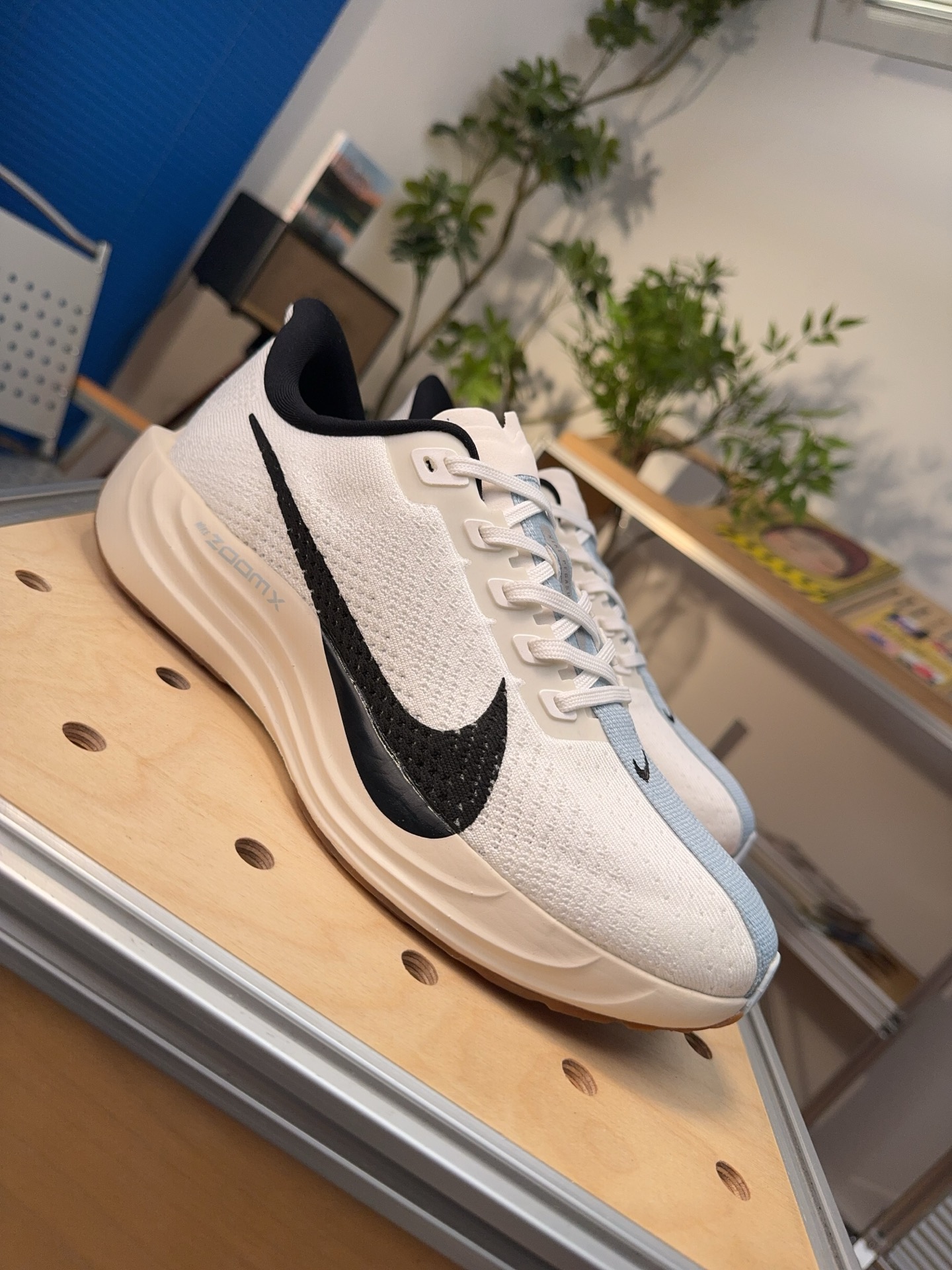 Nike Jordan